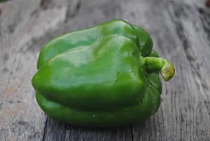 Image de l'ingrédient : Poivron vert