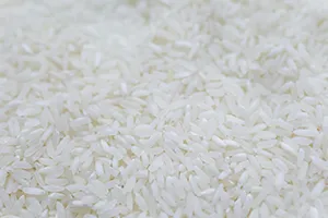 Image de l'ingrédient : Riz
